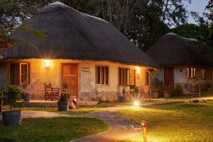 Wild Dogs Lodge