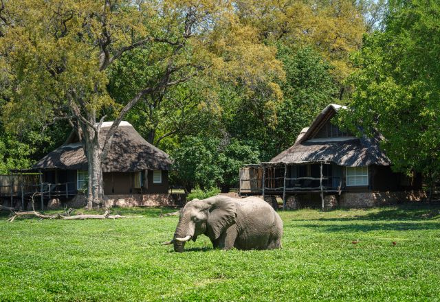 Mfuwe Lodge