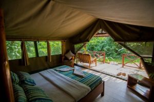 Kibale Forest Camp