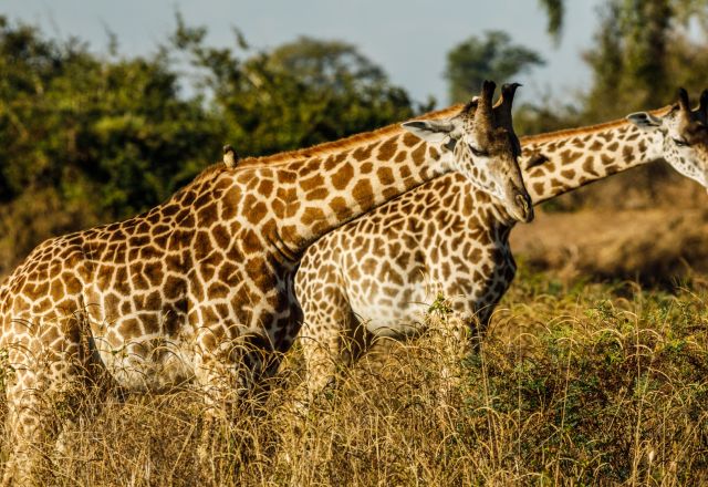 Reisetipps Sambia