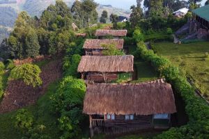 Gorilla Mist Camp